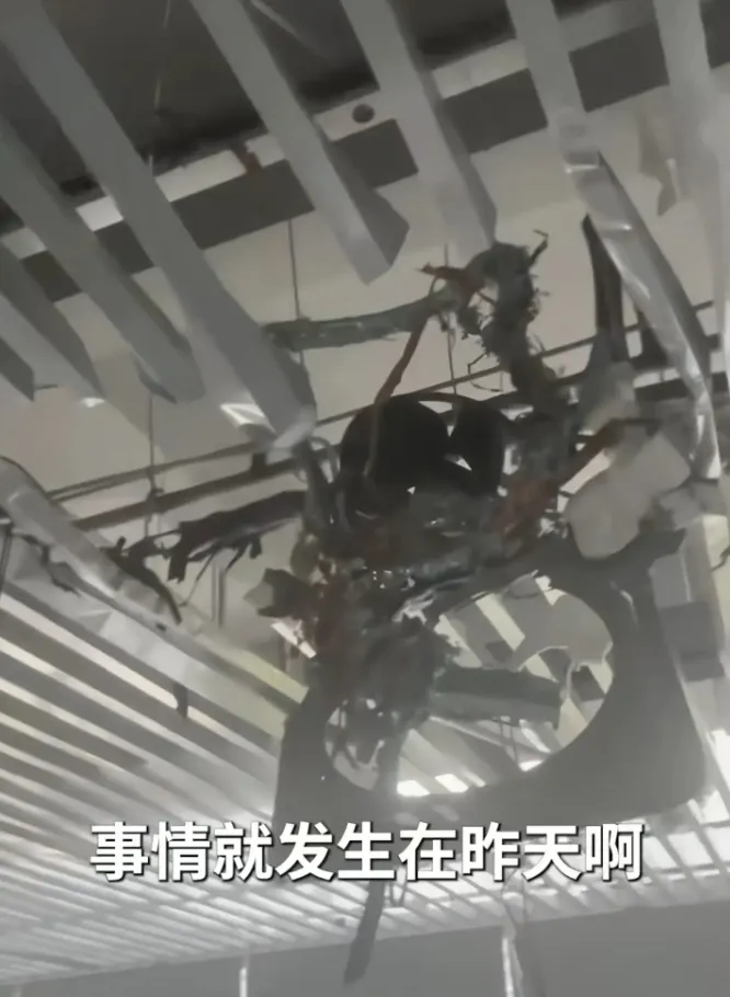 爆炸的内机图片